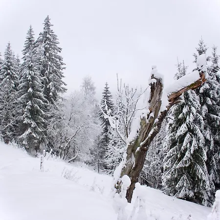 Horska Mamut Chalet Dolni Mala Upa